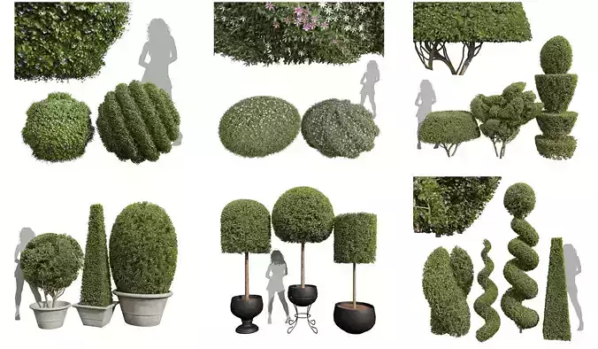 6 Different SETS of Bush SET VOL36 3D Model Collection