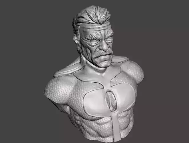 omni man bust 3d model ready for 3d printing  3D print model