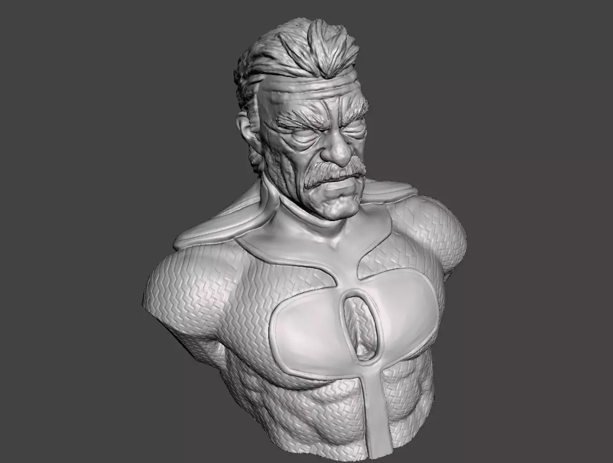 omni man bust 3d model ready for 3d printing  3D print model_0