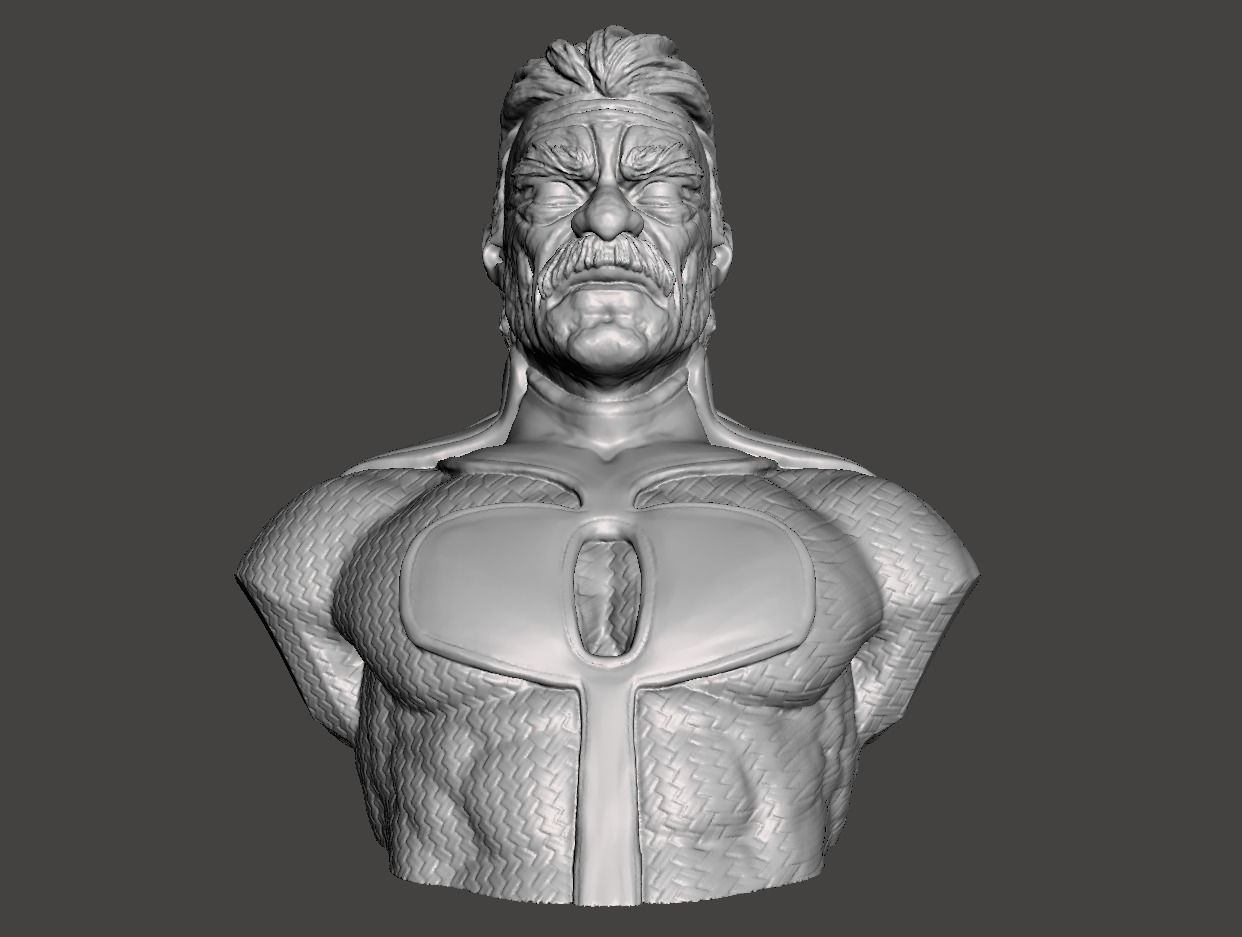 omni man bust 3d model ready for 3d printing  3D print model_1