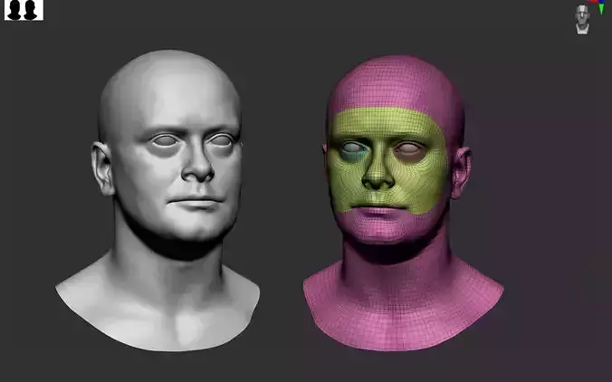 Scan realistic Male head 3D model