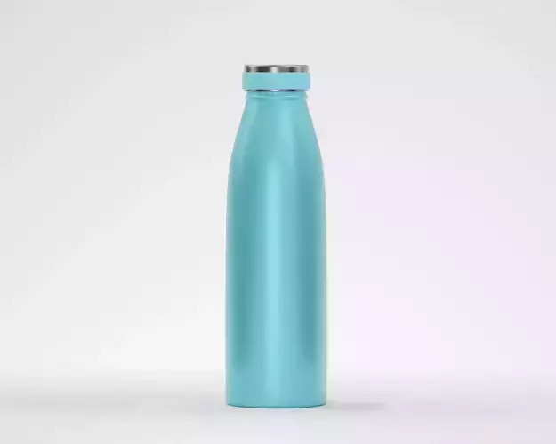 Stainless steel water bottle