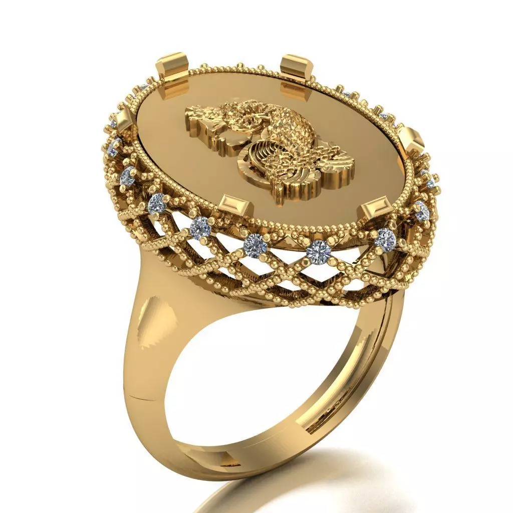 Onsa Ring 003 3D print model