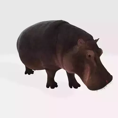 Hippopotamus Animal 3D Model Ready to Print 3D print model