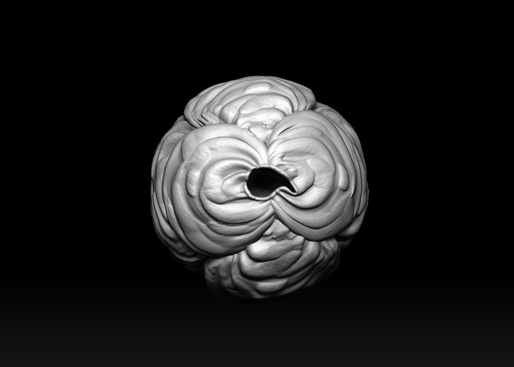 Saimyosho Hive - Inuyasha 3D print model_7