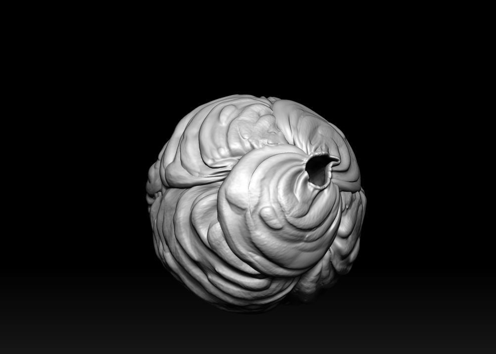 Saimyosho Hive - Inuyasha 3D print model_8