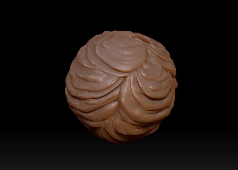 Saimyosho Hive - Inuyasha 3D print model_5