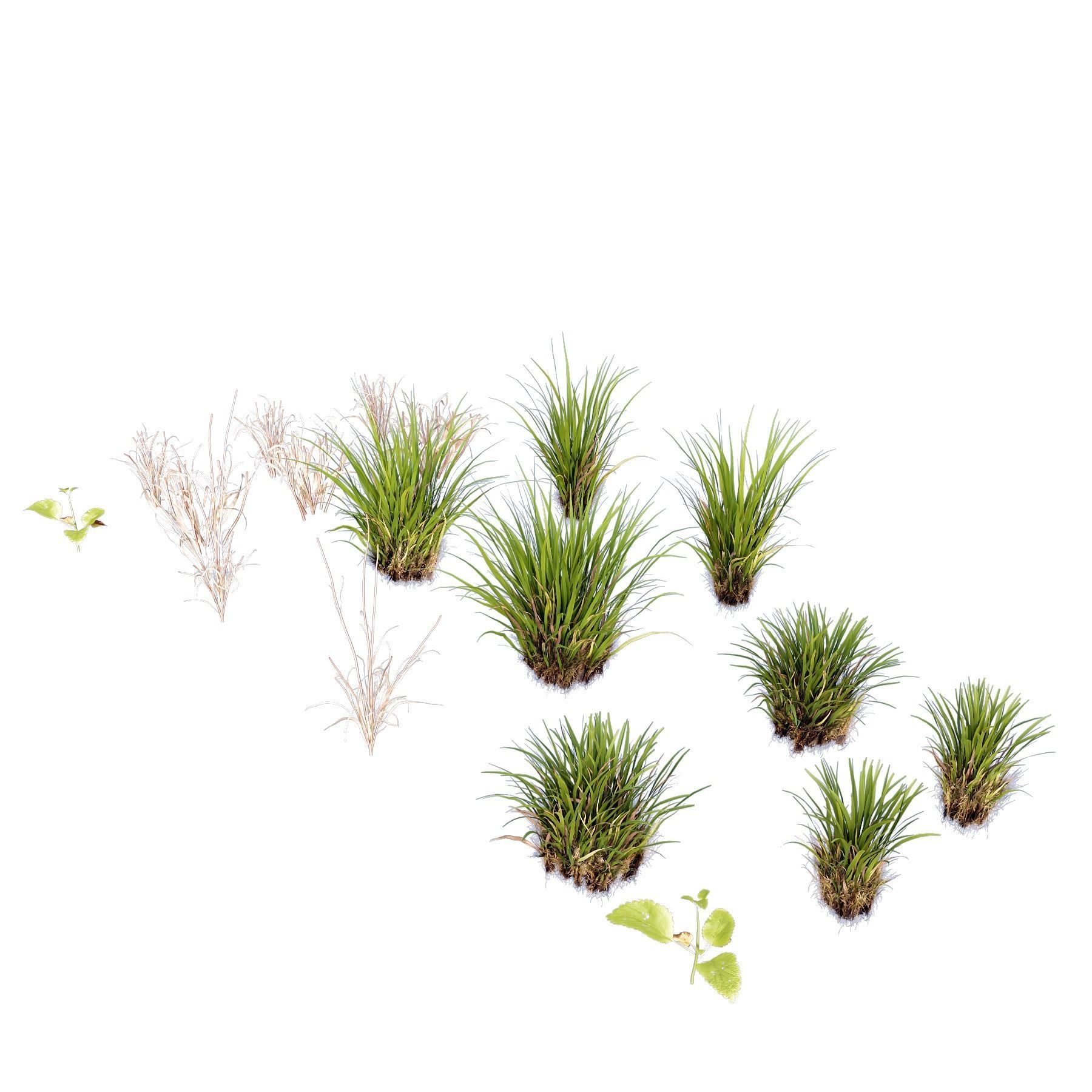 HQ Grass Agricultural Field 3D model_2