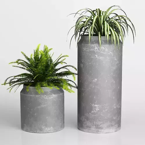 Green Plants in Rustic Gray Vases 3D model