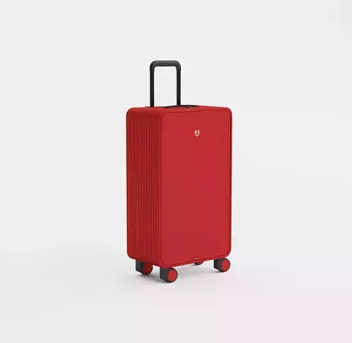 3D model Trolley Bag