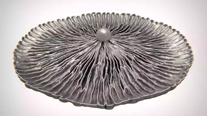 Coral Flower Pearl Earring STL