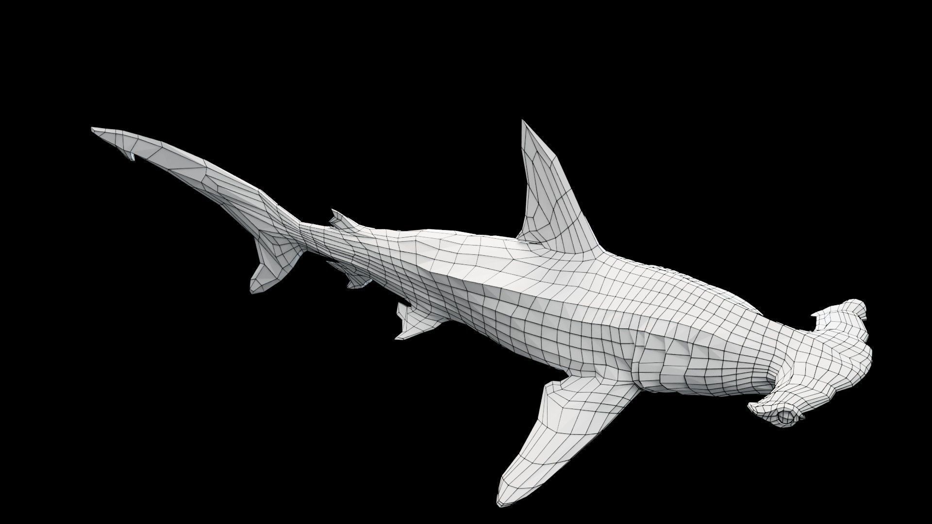 Hammerhead Shark Low-poly 3D model_10