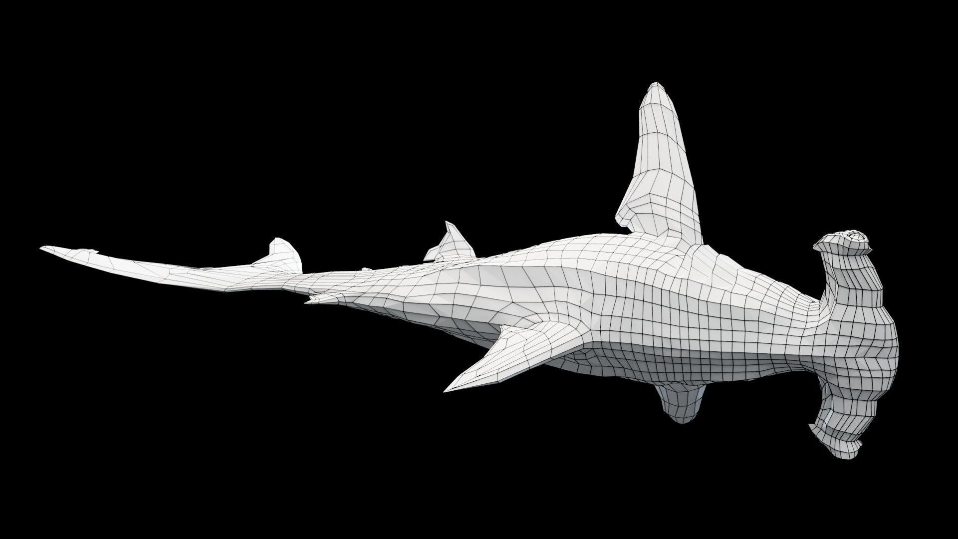 Hammerhead Shark Low-poly 3D model_12