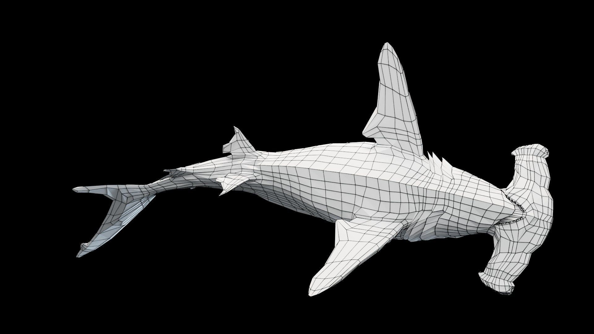 Hammerhead Shark Low-poly 3D model_15