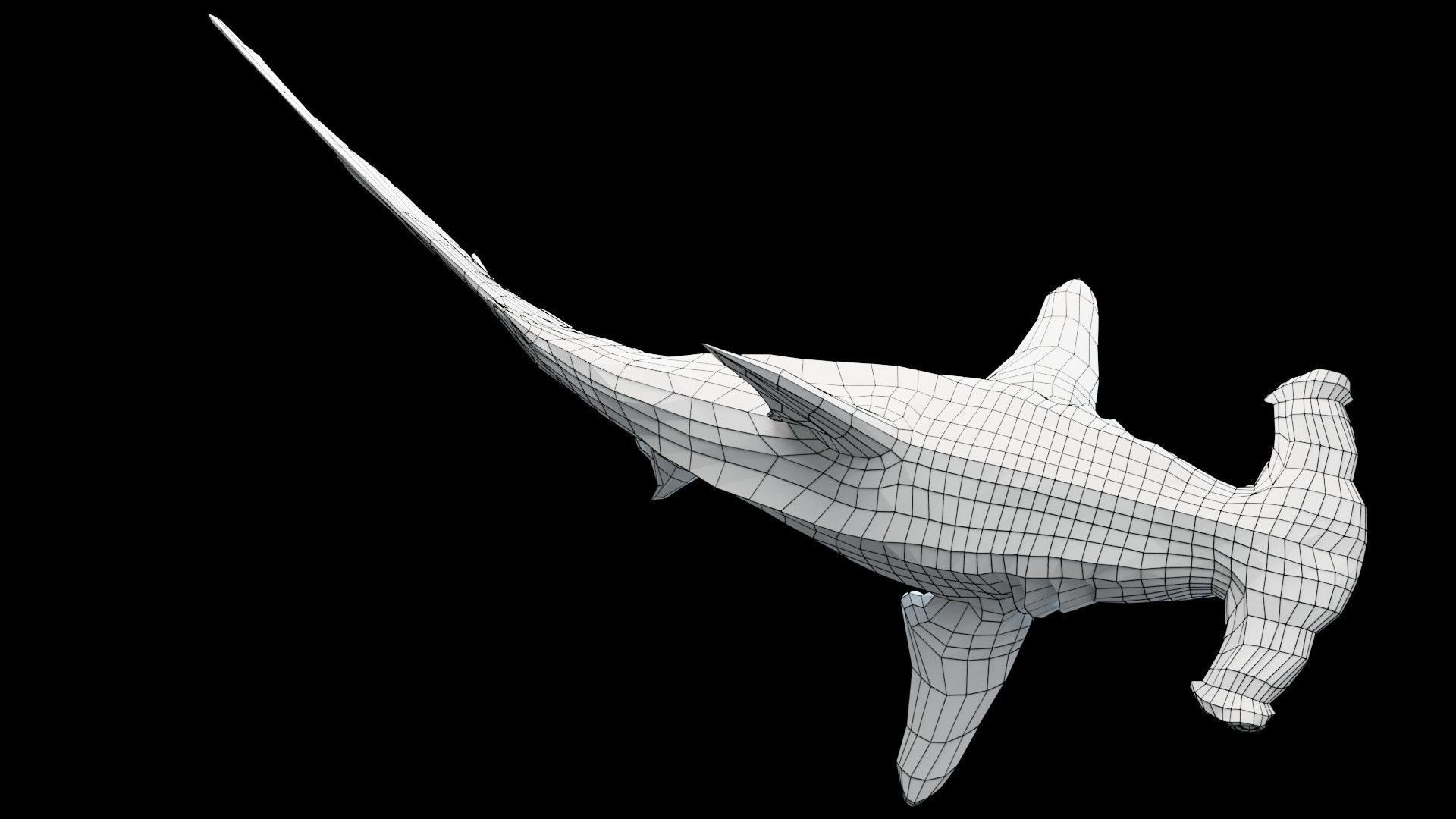 Hammerhead Shark Low-poly 3D model_11