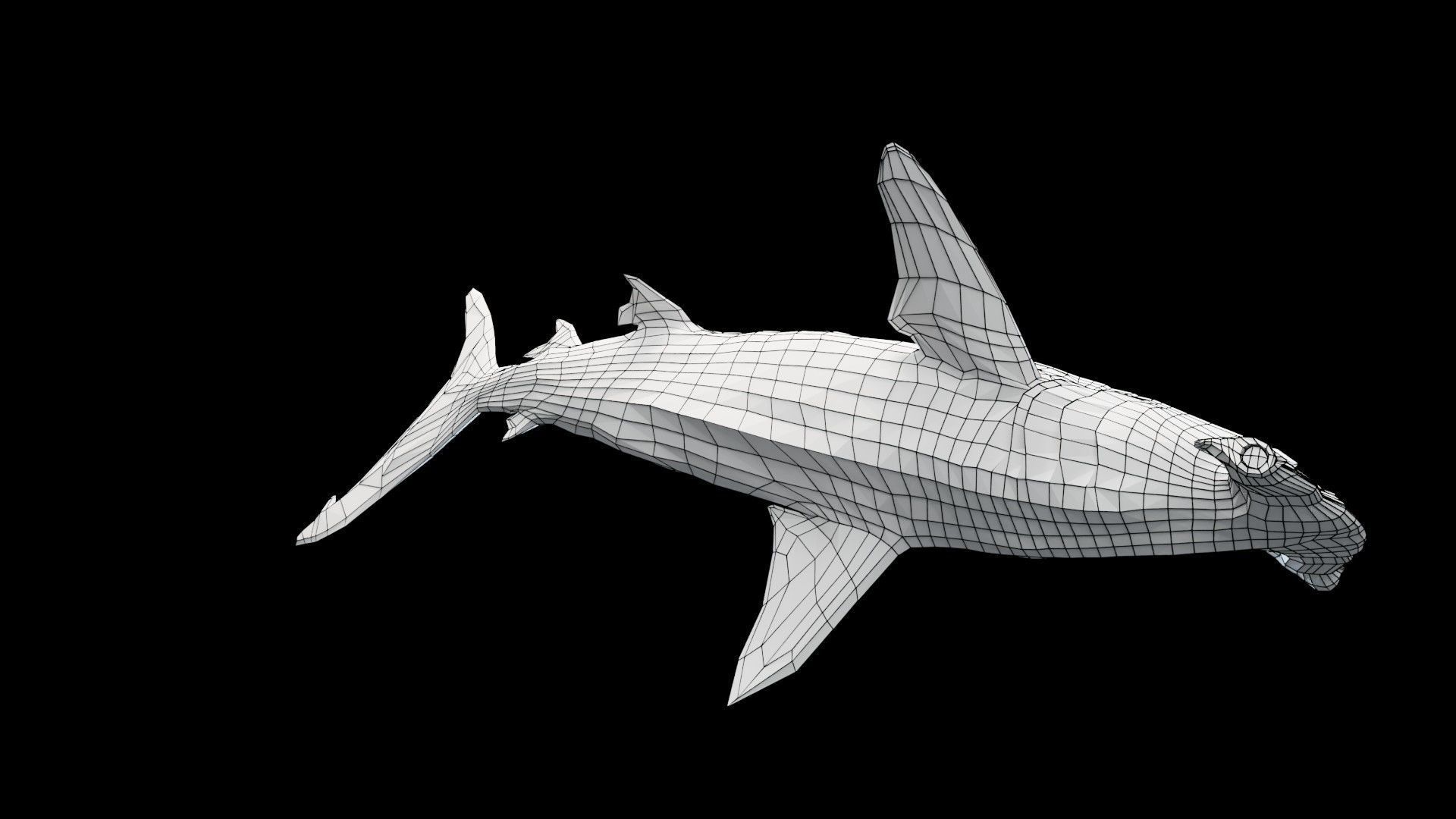 Hammerhead Shark Low-poly 3D model_13