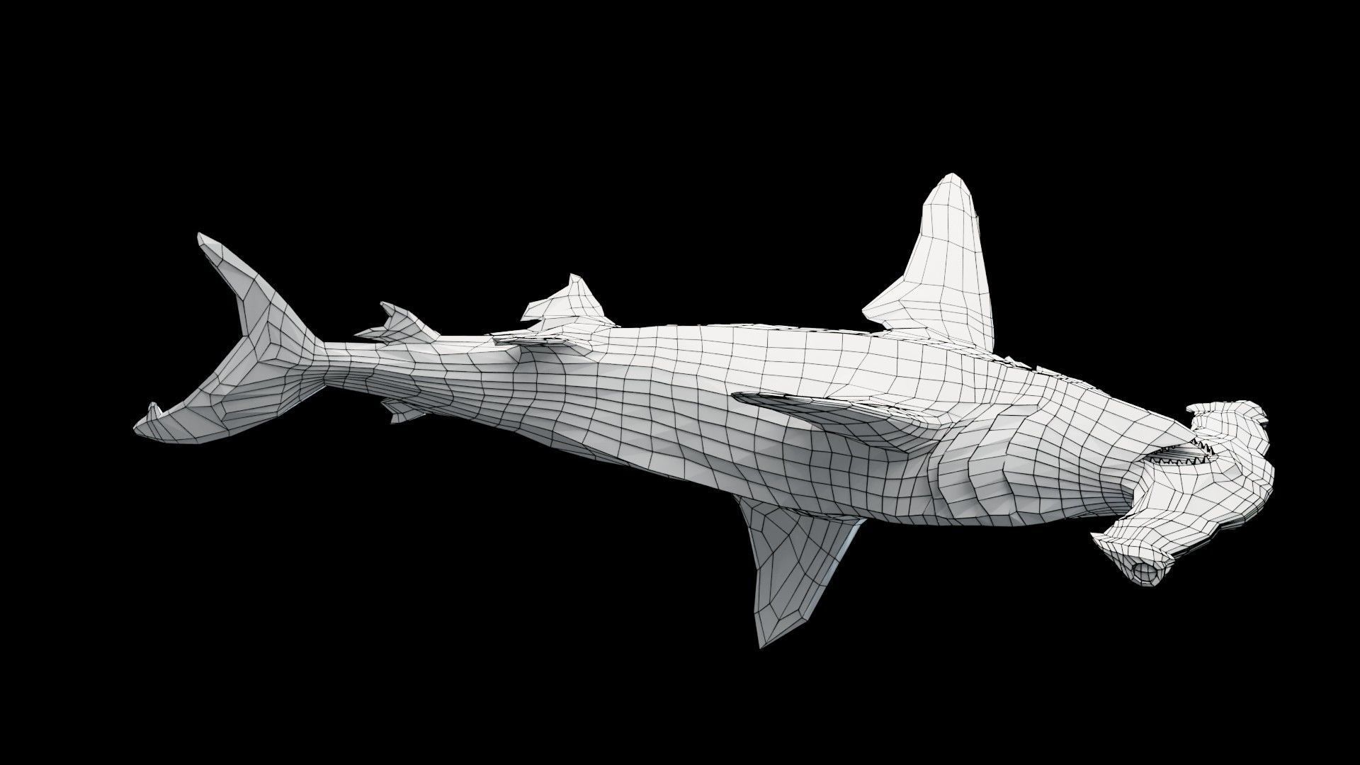 Hammerhead Shark Low-poly 3D model_14