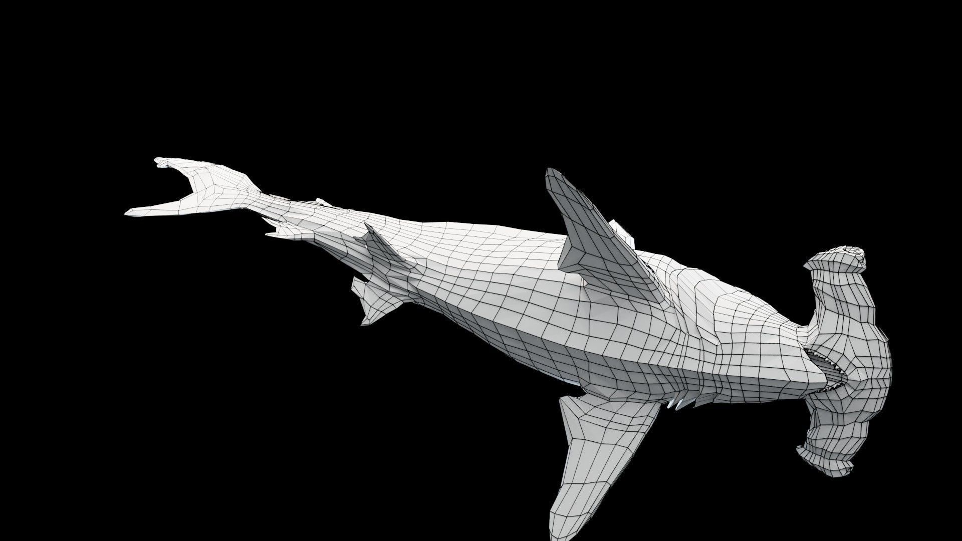Hammerhead Shark Low-poly 3D model_16
