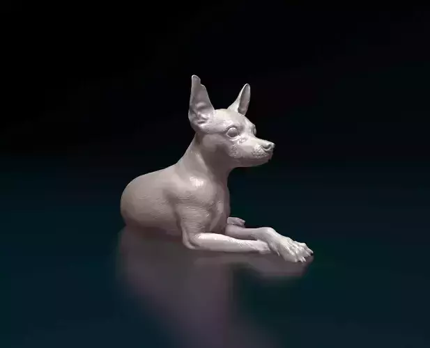 Miniature Pinscher 3D print model