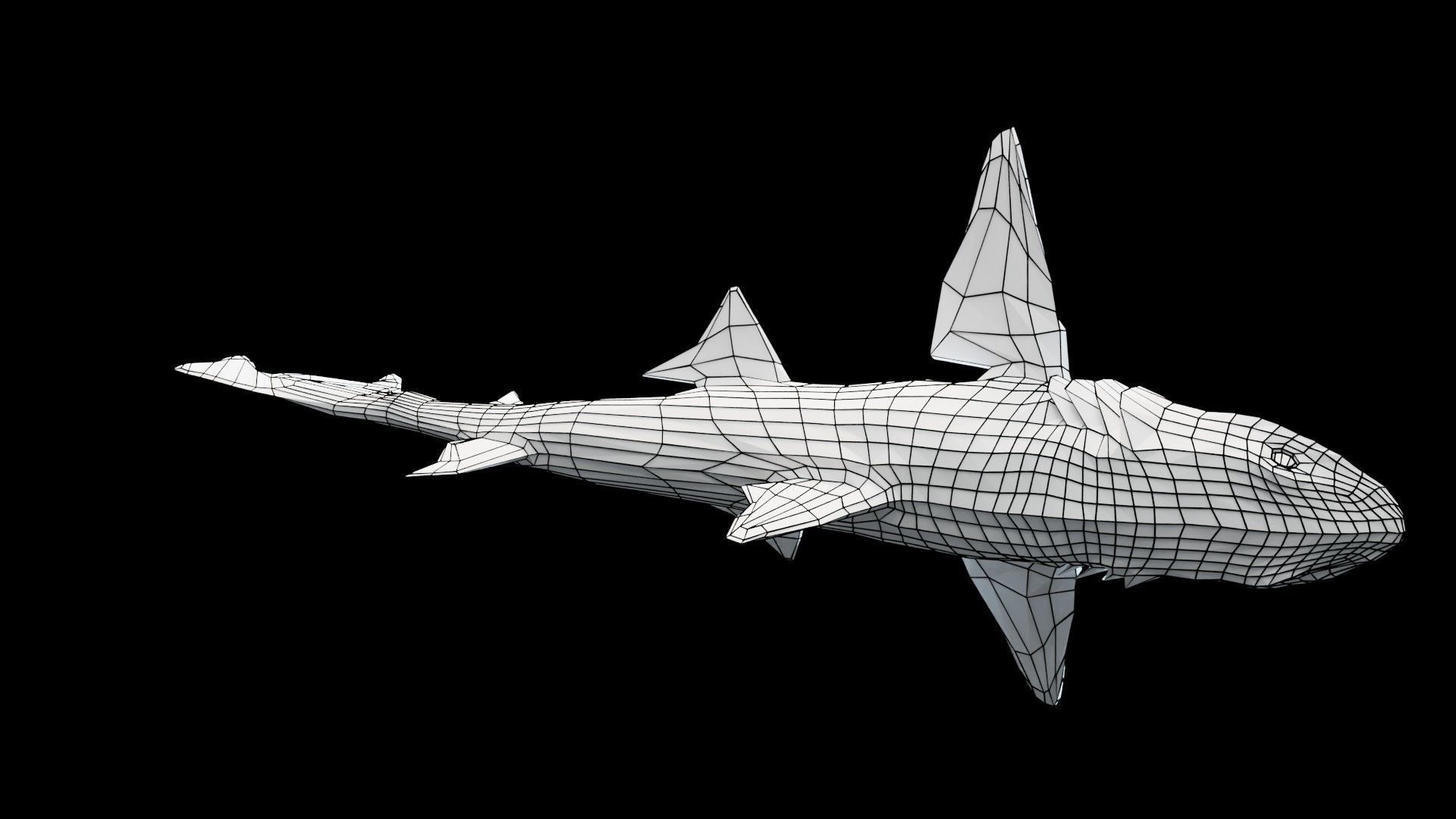 Smoothhound Shark Low-poly 3D model_12