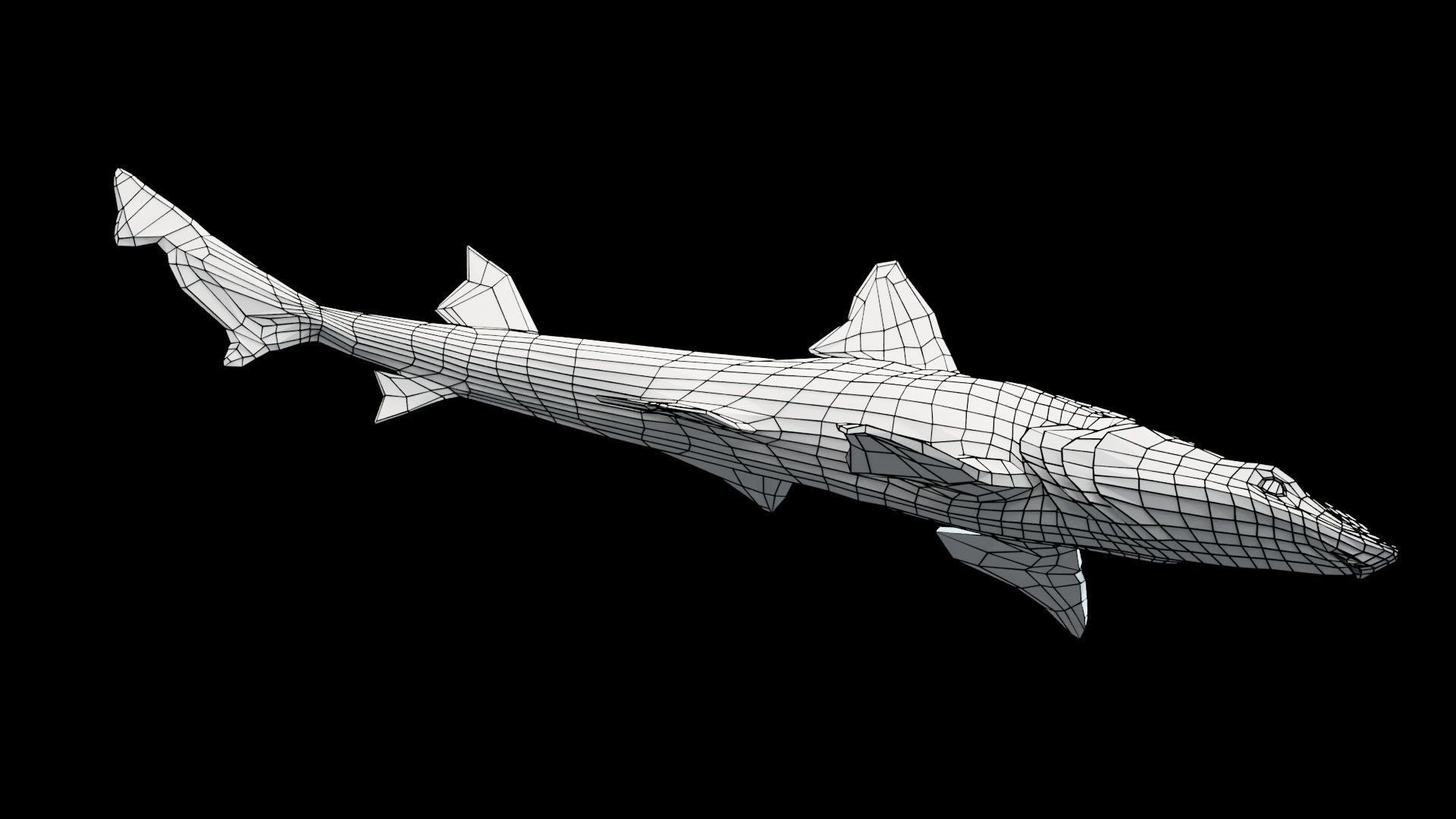 Smoothhound Shark Low-poly 3D model_17