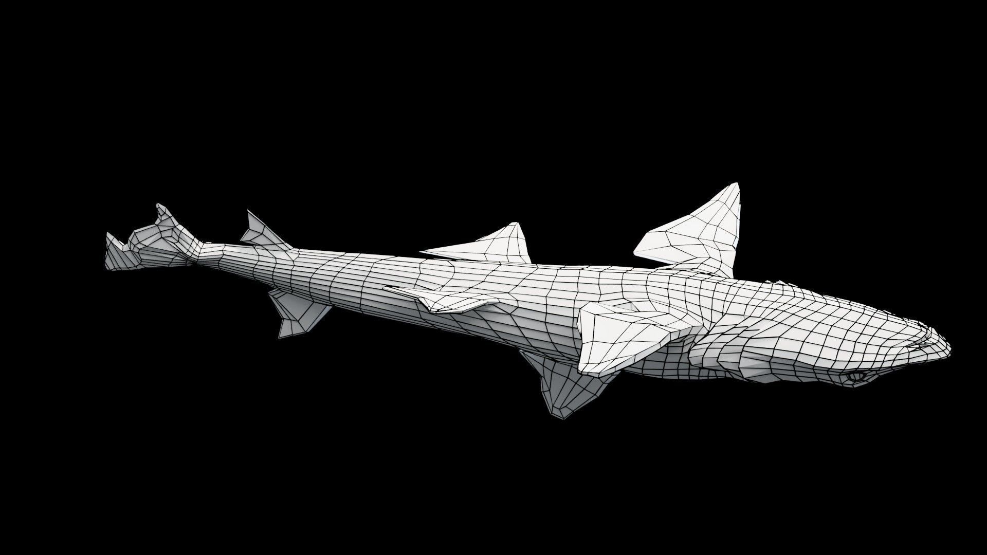 Smoothhound Shark Low-poly 3D model_14