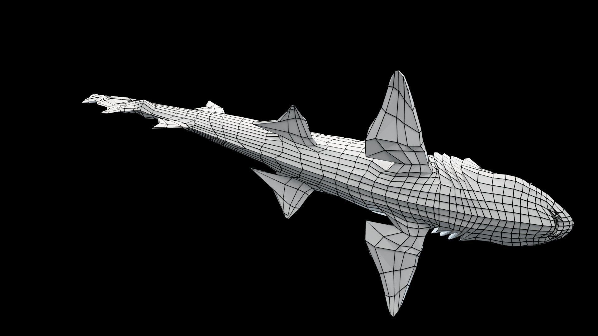 Smoothhound Shark Low-poly 3D model_16
