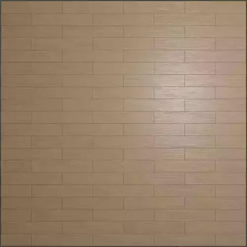 Baltic Birch Wood Texture