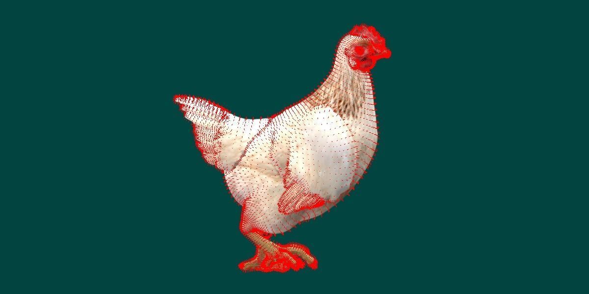 Hen The Chicken 3D model_12