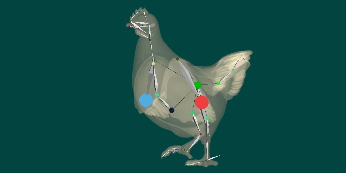 Hen The Chicken 3D model_15