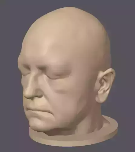 3D Scanned Human Head - 3D Print Ready