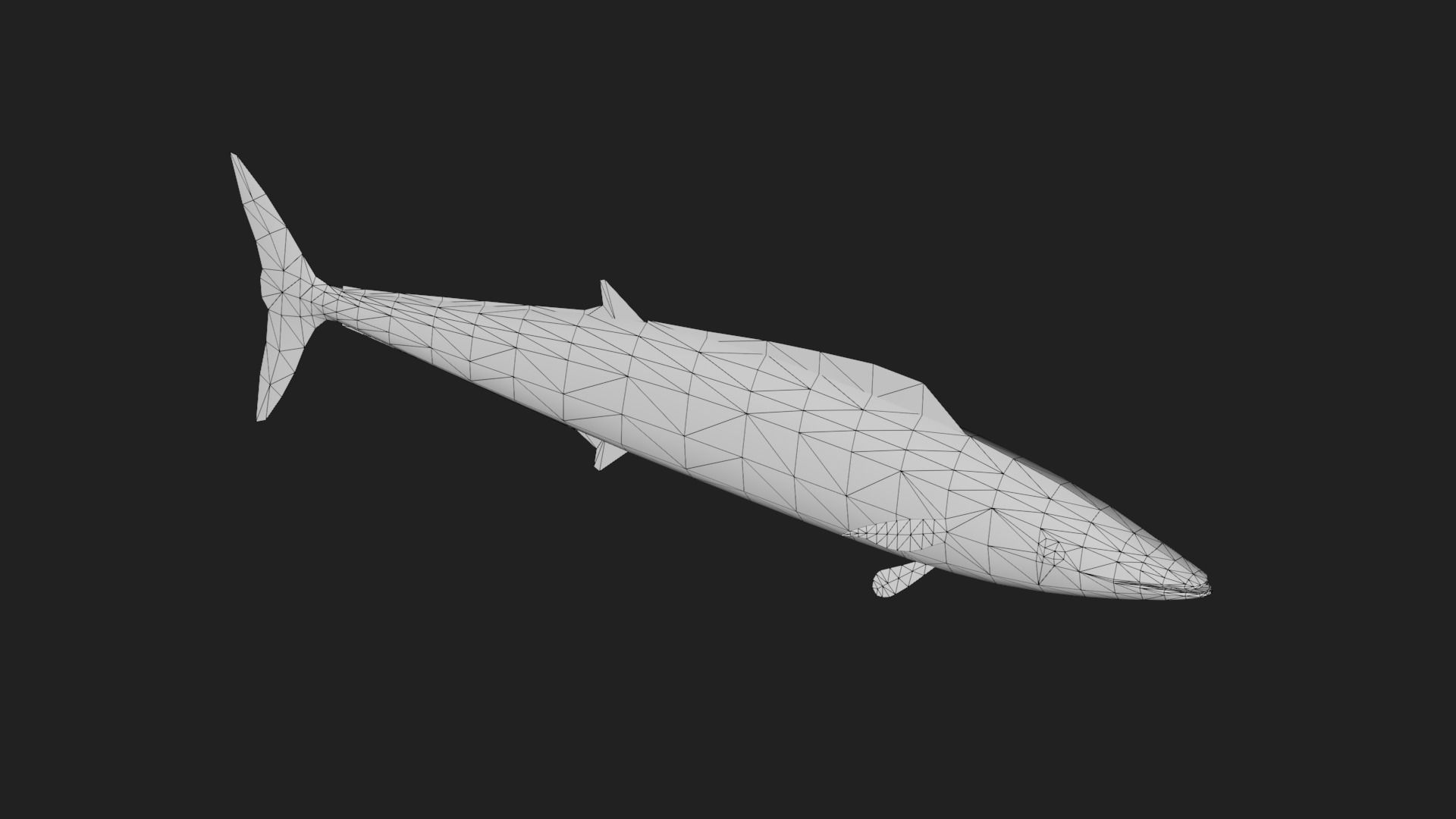 Wahoo Low-poly 3D model_5