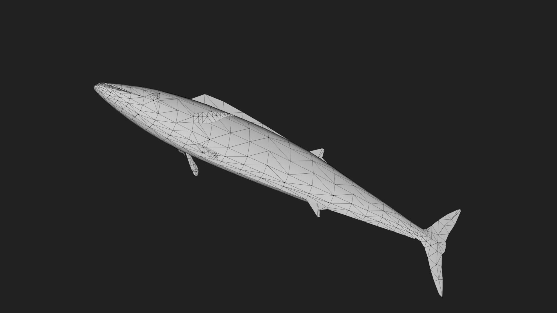 Wahoo Low-poly 3D model_3