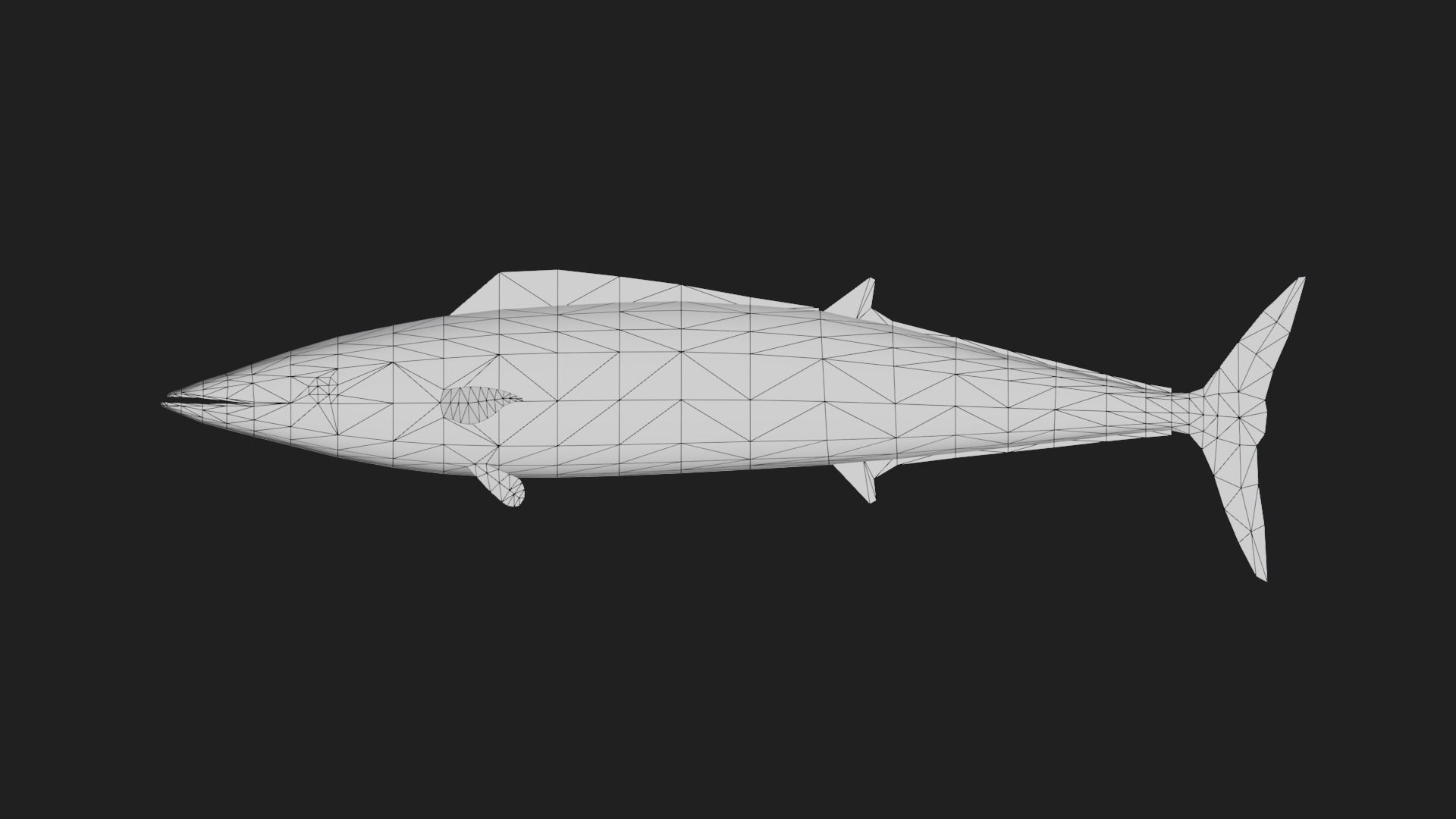Wahoo Low-poly 3D model_1