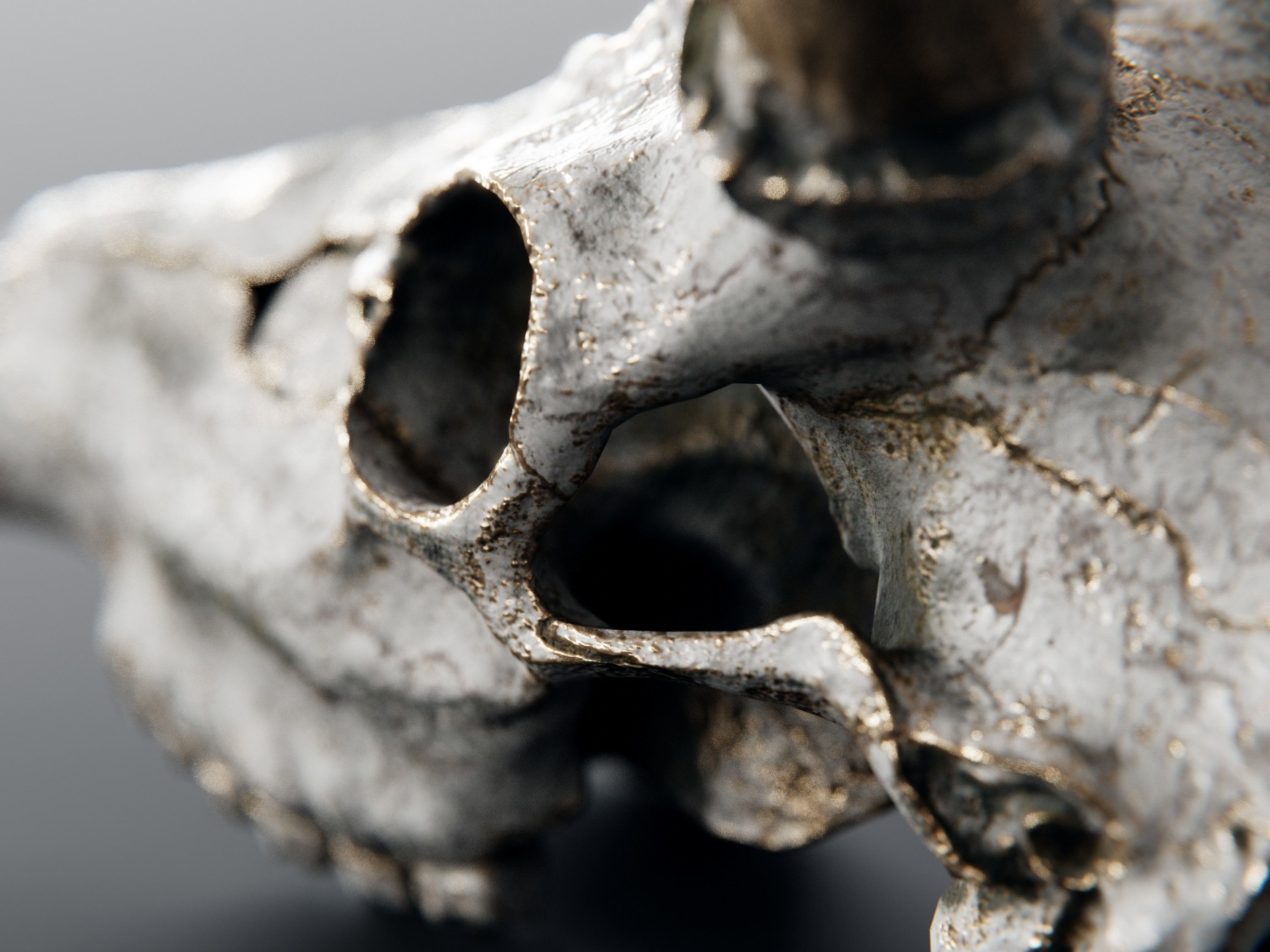 deer demon skull 3D model_5