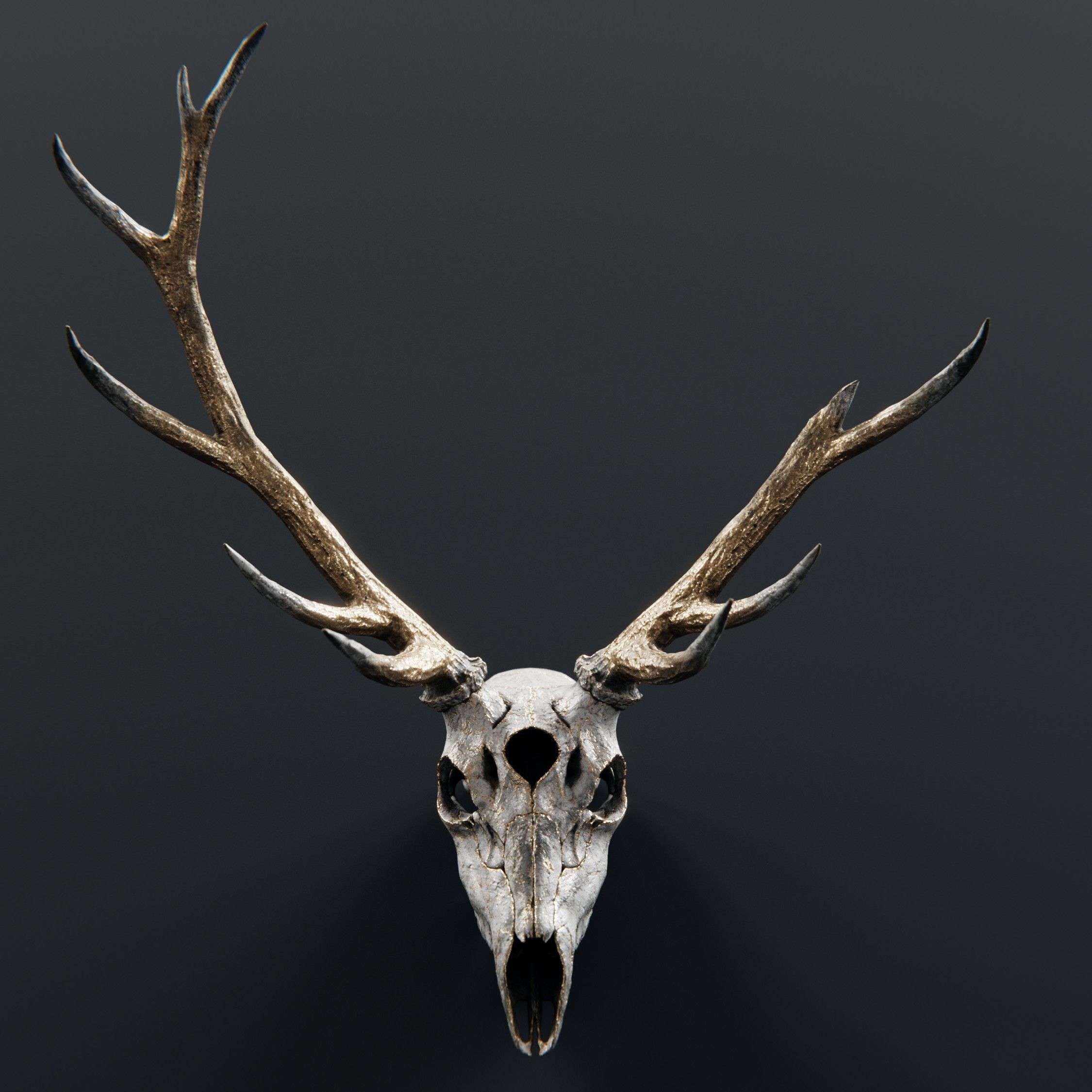 deer demon skull 3D model_6