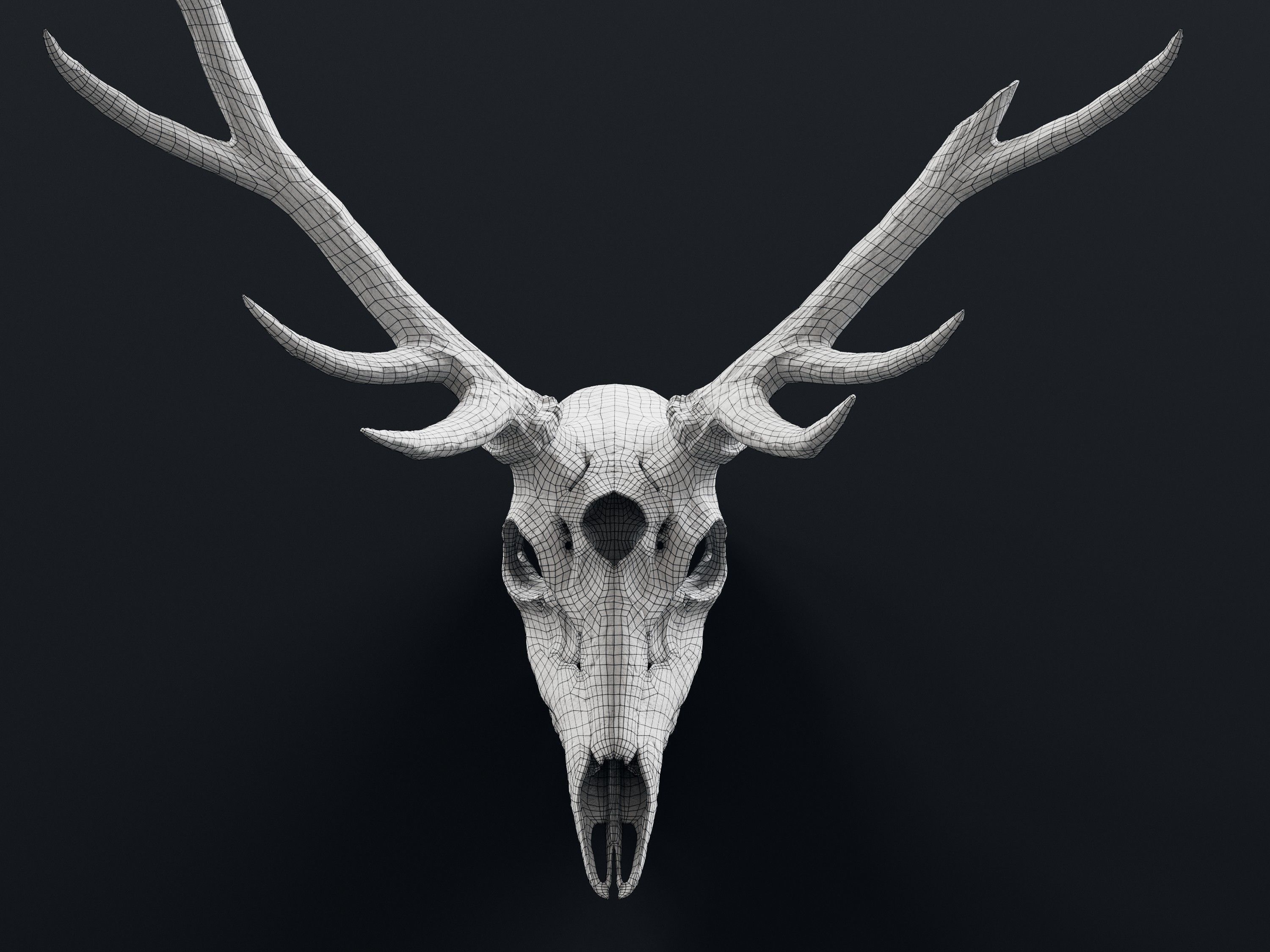 deer demon skull 3D model_4