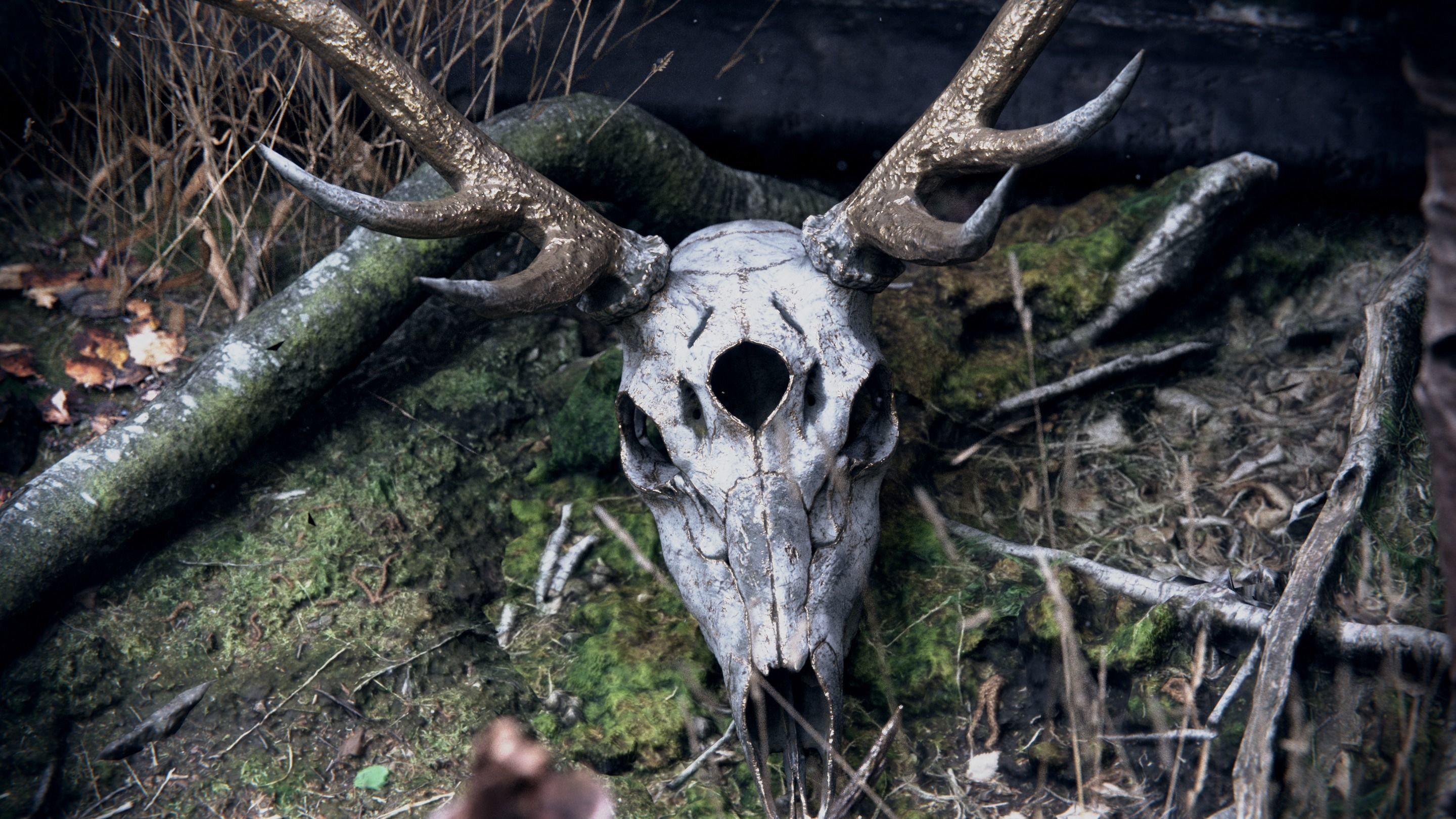 deer demon skull 3D model_9