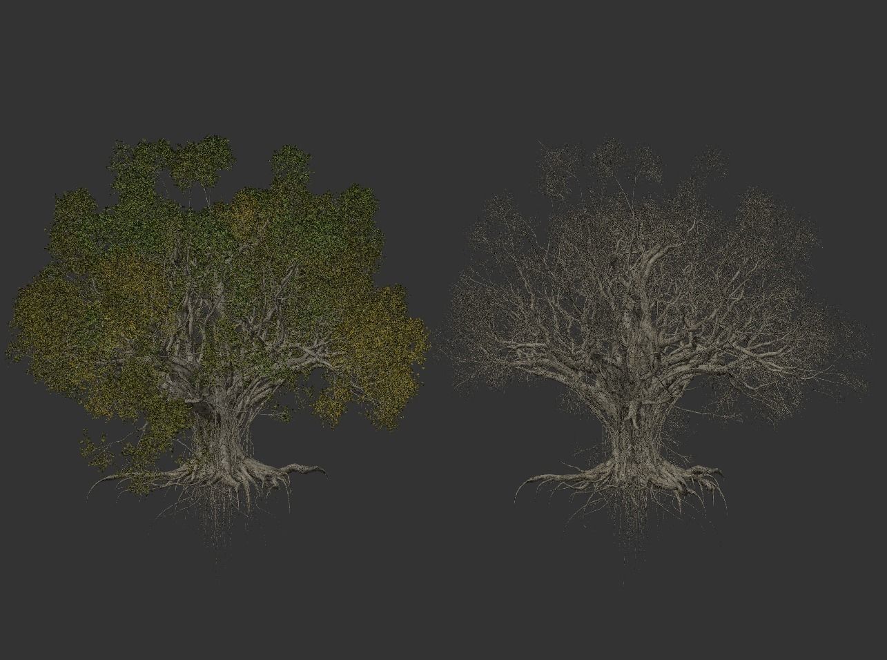 High quality Large banyan tree 02 3D model_3