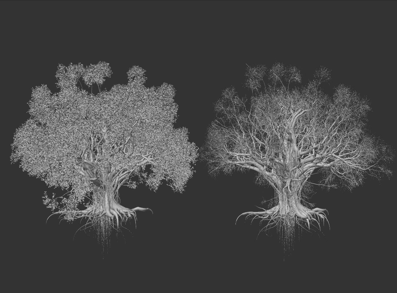 High quality Large banyan tree 02 3D model_4