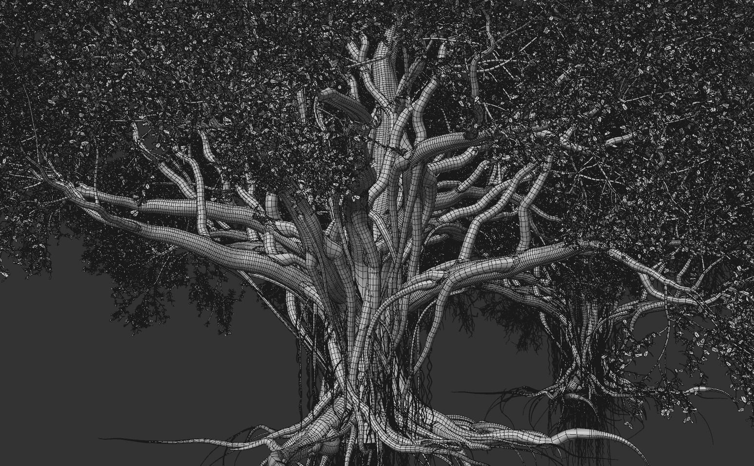 High quality Large banyan tree 02 3D model_5