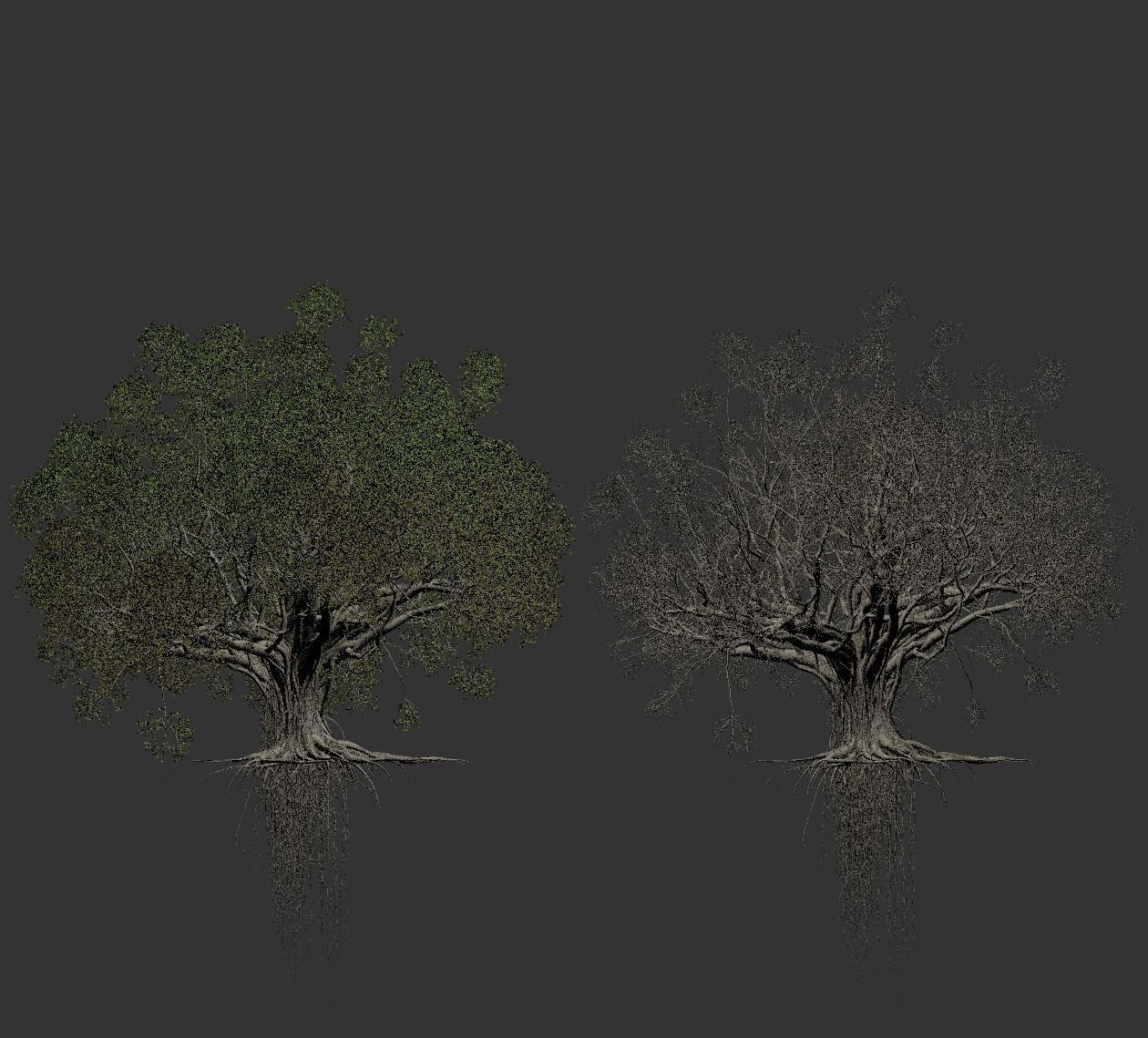 High quality Large banyan tree 03 3D model_3
