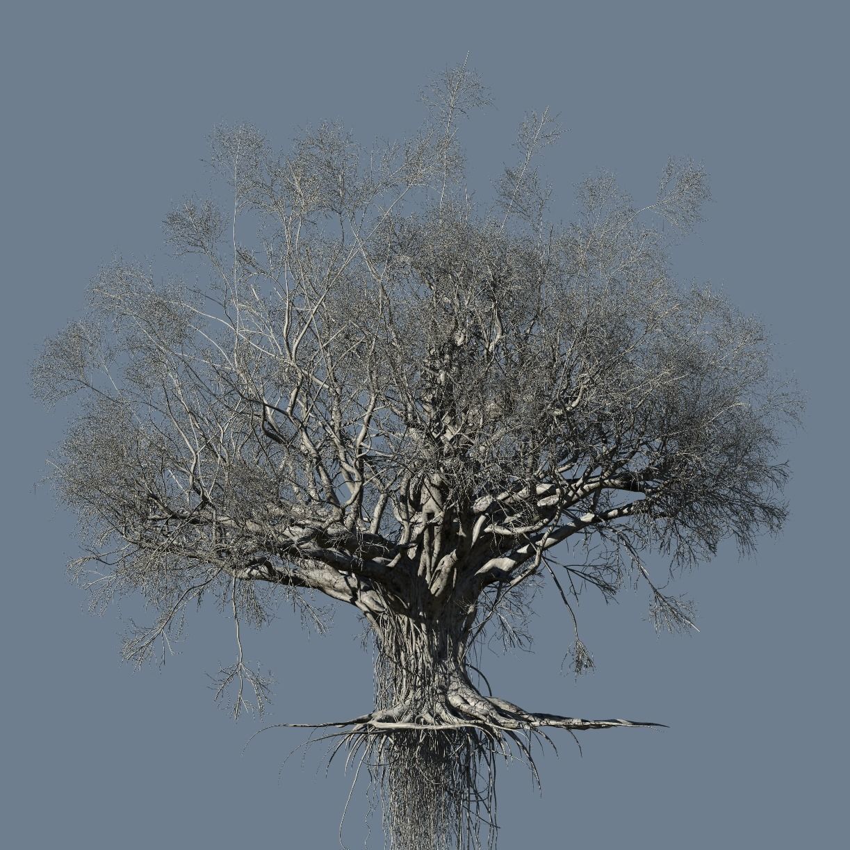 High quality Large banyan tree 03 3D model_2