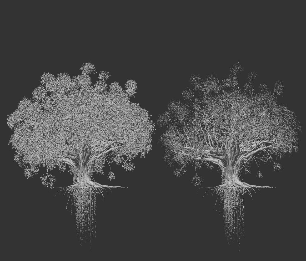 High quality Large banyan tree 03 3D model_4