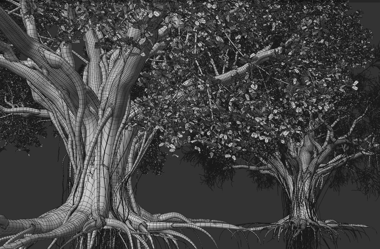 High quality Large banyan tree 04 3D model_5