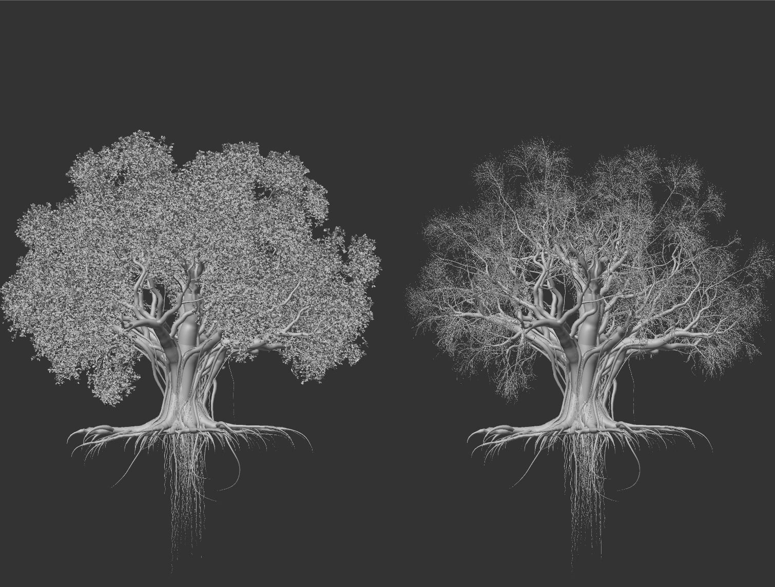 High quality Large banyan tree 04 3D model_4