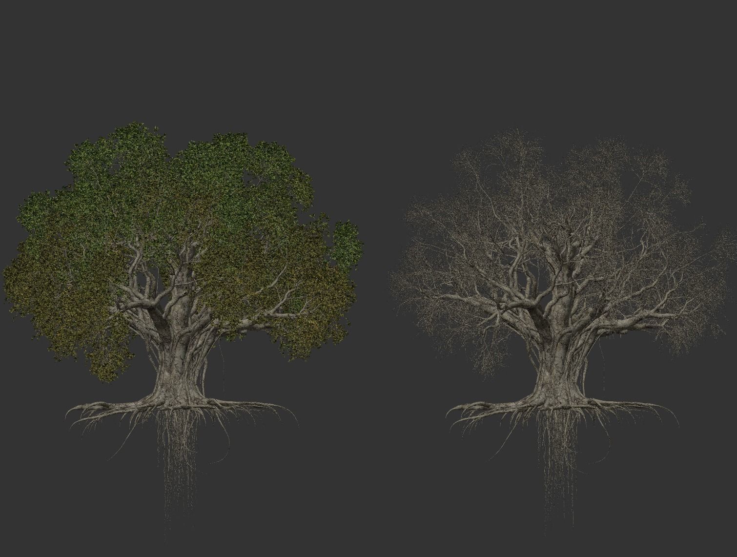 High quality Large banyan tree 04 3D model_3