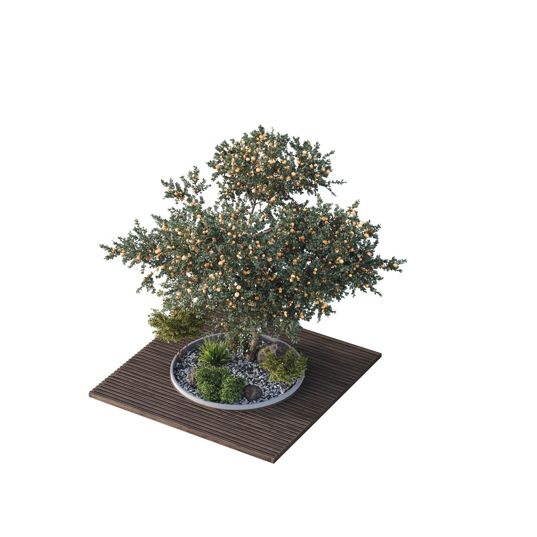 HQ Tree and bush garden box outdoor VOL 01 Free 3D model_2