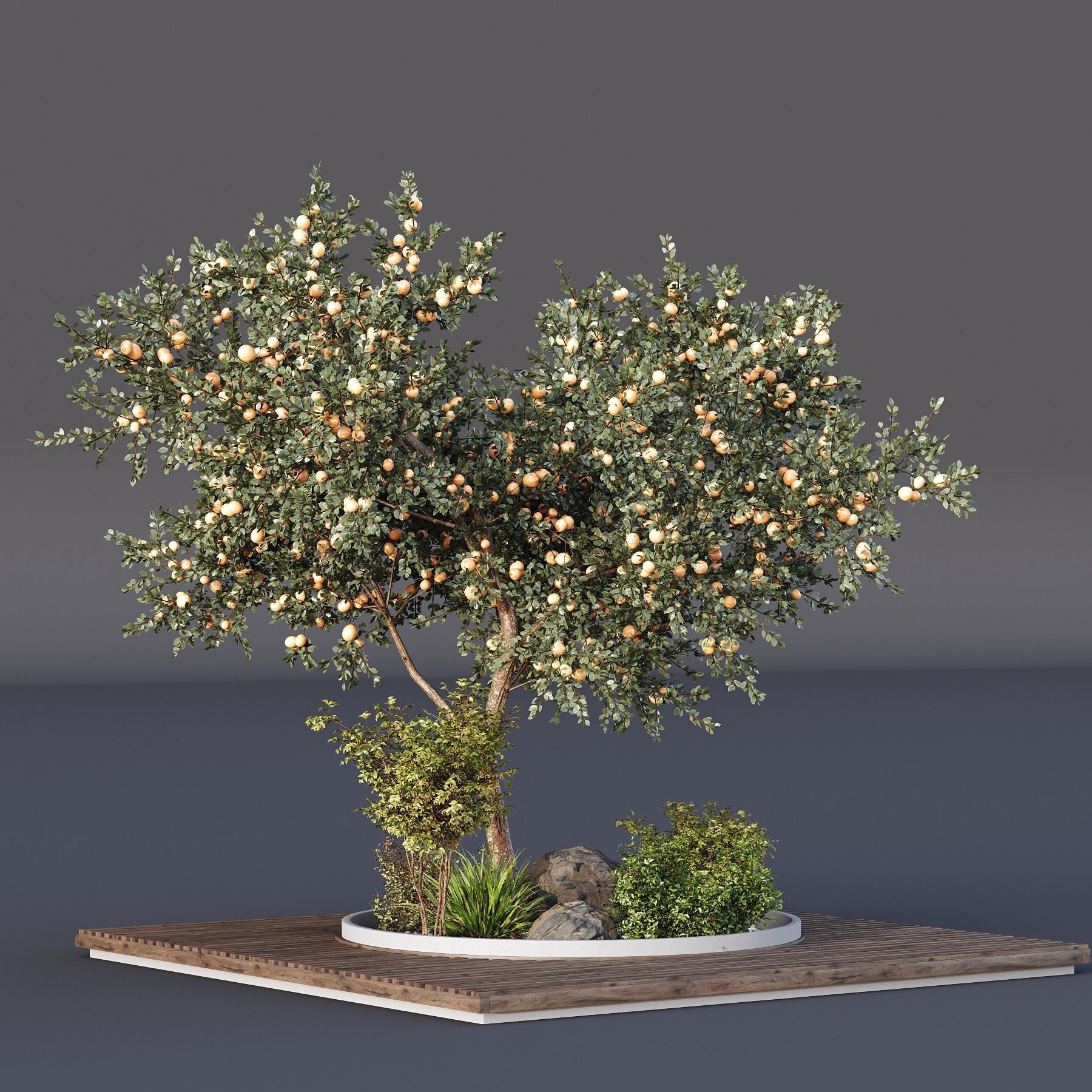 HQ Tree and bush garden box outdoor VOL 01 Free 3D model_3