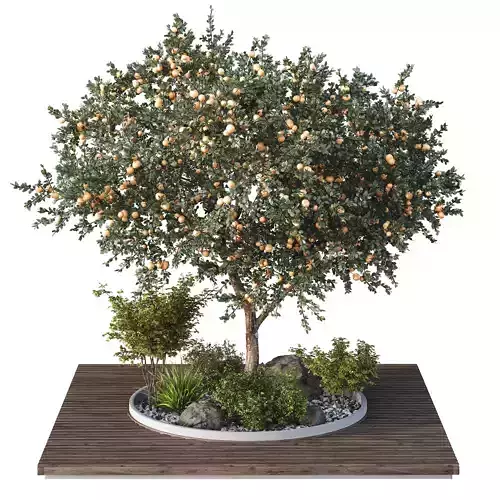 HQ Tree and bush garden box outdoor VOL 01 Free 3D model